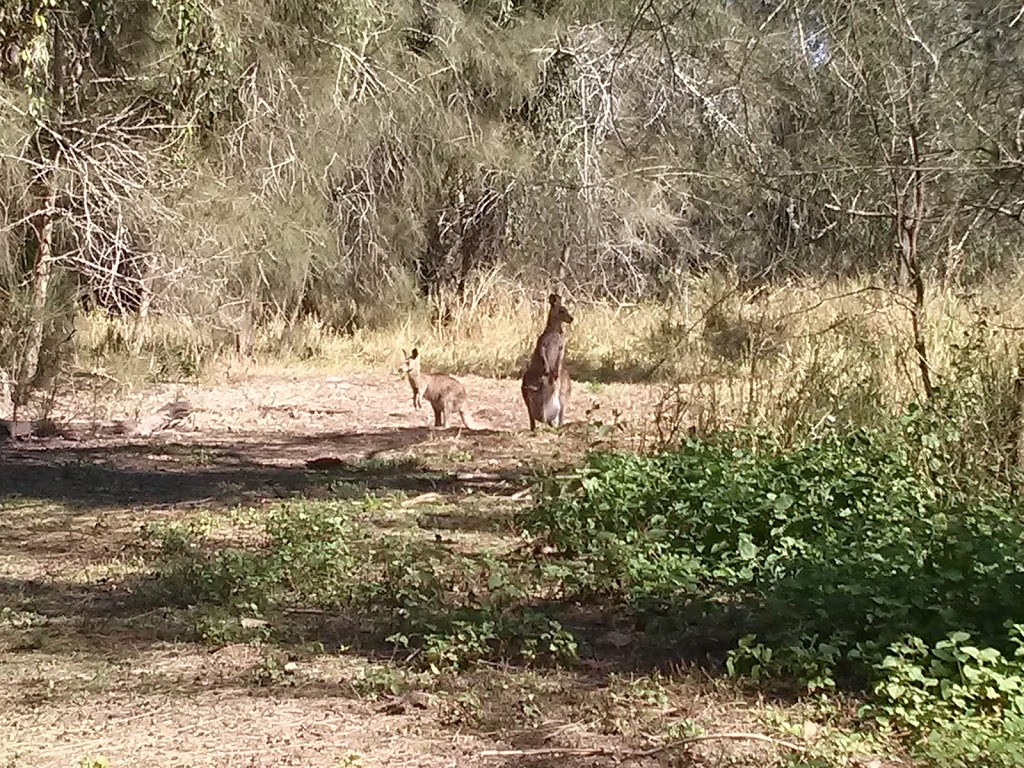 Coombahah Park Car Park | Coombabah QLD 4216, Australia