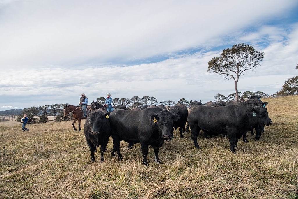 Bald Blair Recreational Reserve Trust | 6486 Guyra Rd, Guyra NSW 2365, Australia | Phone: 0438 792 140