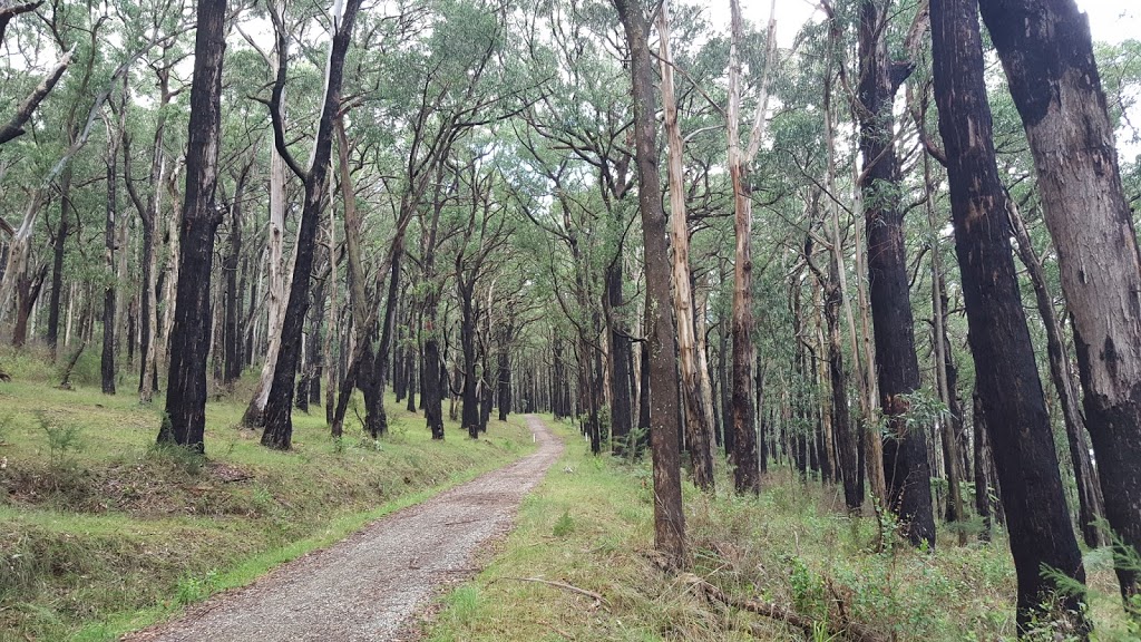 One Hill Reserve | Smiths Gully VIC 3760, Australia