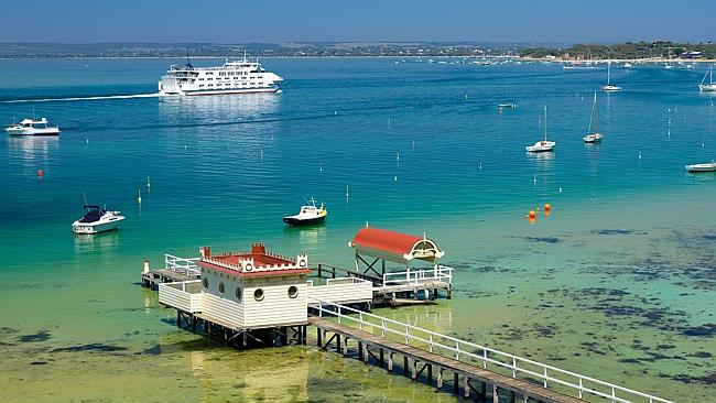 Moonraker Dolphin Swims | travel agency | Esplanade, Sorrento VIC 3943, Australia | 0359844211 OR +61 3 5984 4211