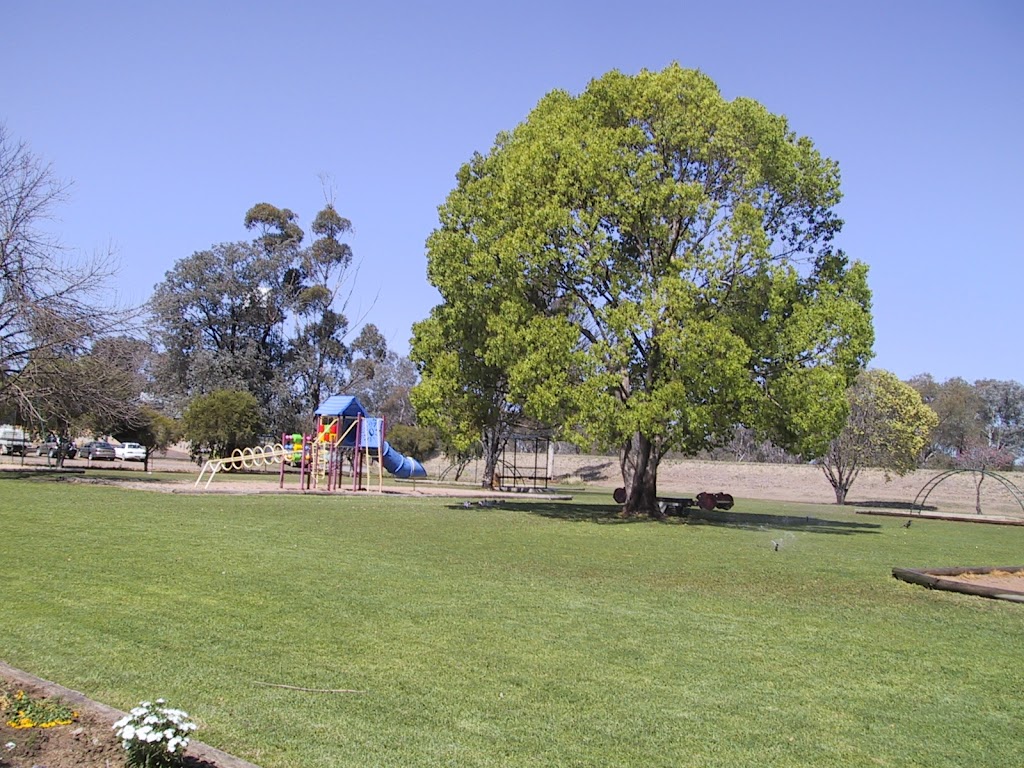 Ludiwici Park | park | 198 Rose St, Wee Waa NSW 2388, Australia