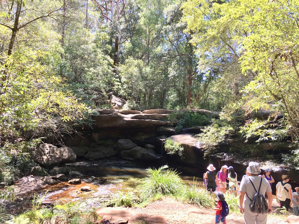 Hunts Creek Reserve | Lesley Ave, Carlingford NSW 2118, Australia | Phone: (02) 9806 5140