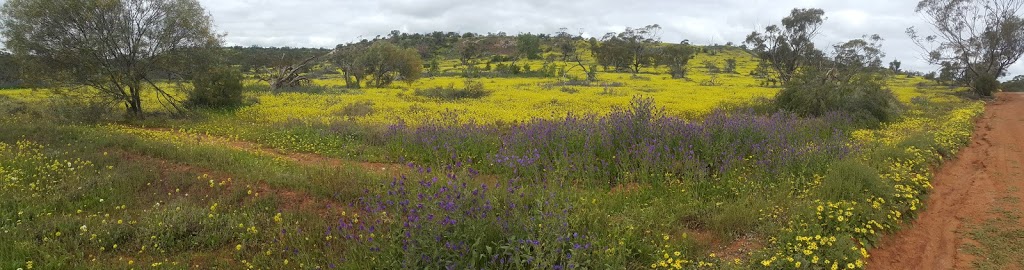 Coalseam Conservation Park | park | 3424 Coalseam Rd, Holmwood WA 6522, Australia