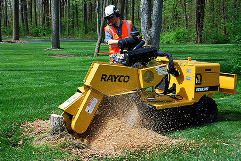 The Tree Services Moggill | 3366 Moggill Rd, Moggill QLD 4070, Australia | Phone: (07) 3608 1855