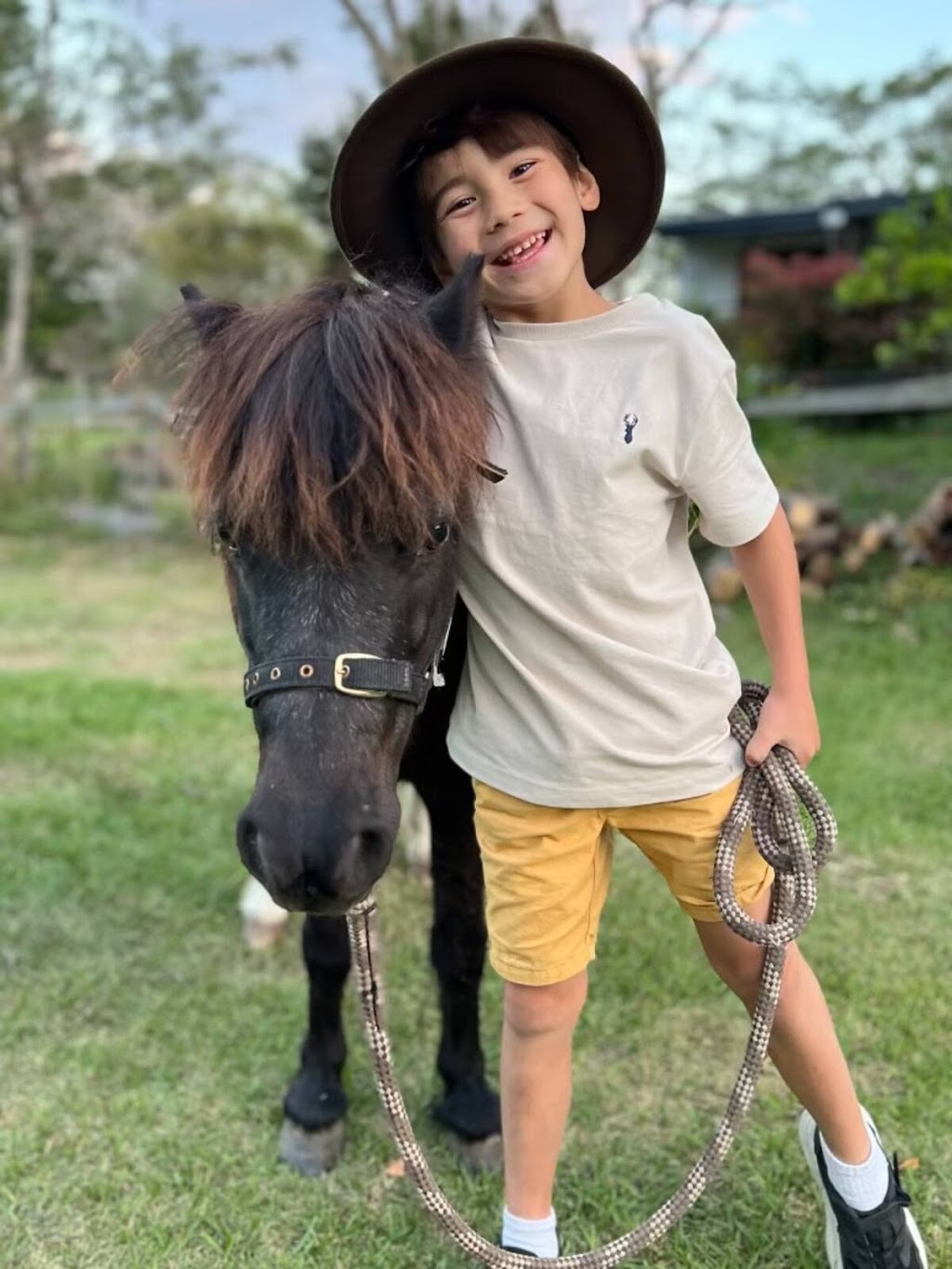Brumbies Hollow Cabin Stay and Equine Experiences | *, Highvale QLD 4520, Australia | Phone: (07) 3289 7912