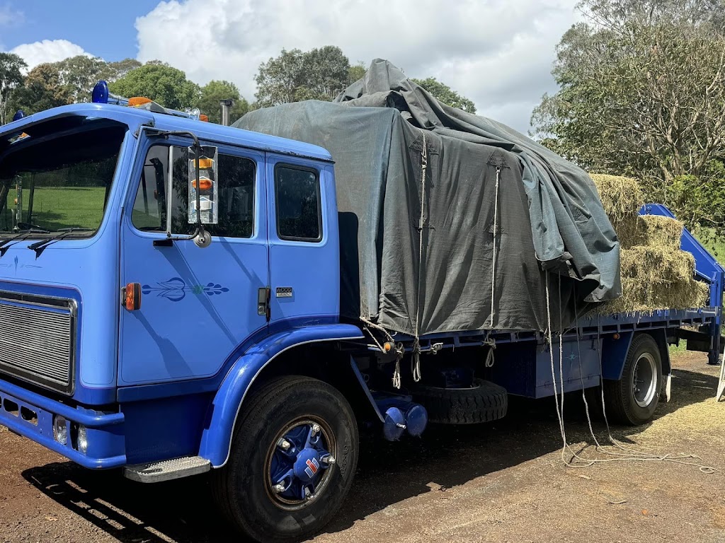 North Coast Skip Bins | 465 Rous Rd, Tregeagle NSW 2480, Australia | Phone: 0427 242 142