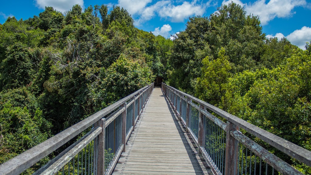 Skywalk lookout, Dorrigo National Park |  | Sky Walk, Dorrigo NSW 2453, Australia | 0266572309 OR +61 2 6657 2309