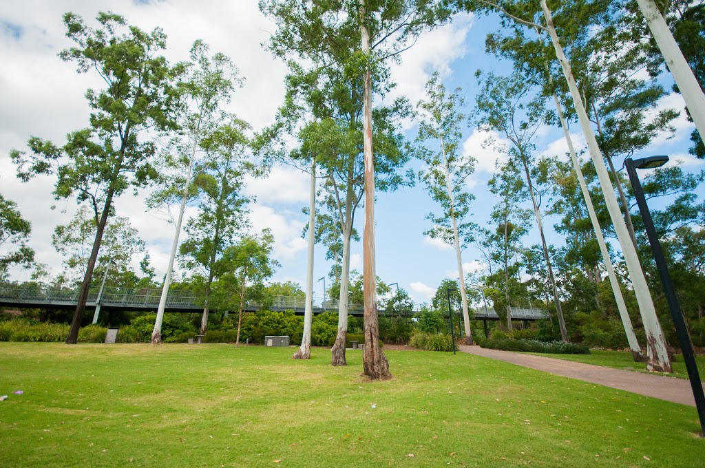 Robelle Domain | park | 155 Southern Cross Circuit, Springfield Central QLD 4300, Australia | 0732810555 OR +61 7 3281 0555