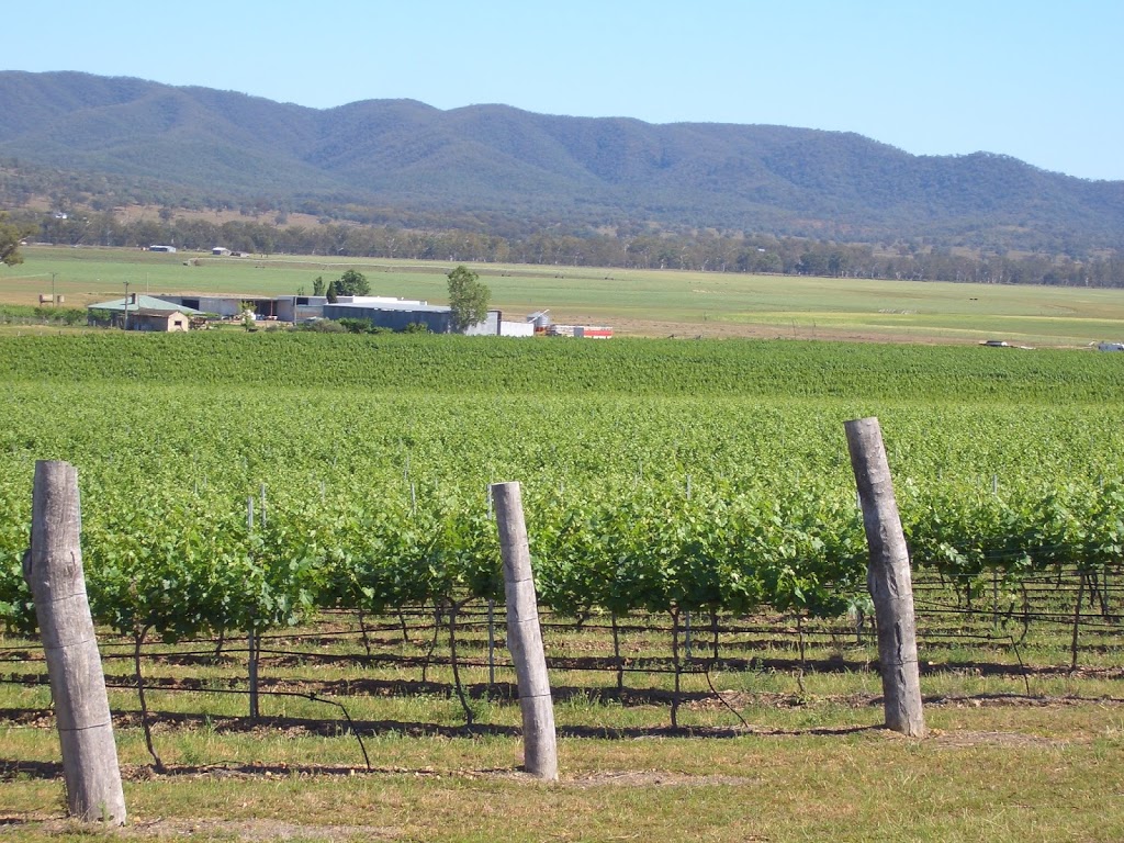 Zappa Wines Dumaresq Valley Vineyard | food | 7459 Bruxner Hwy, Dumaresq Valley NSW 2372, Australia | 0458250672 OR +61 458 250 672