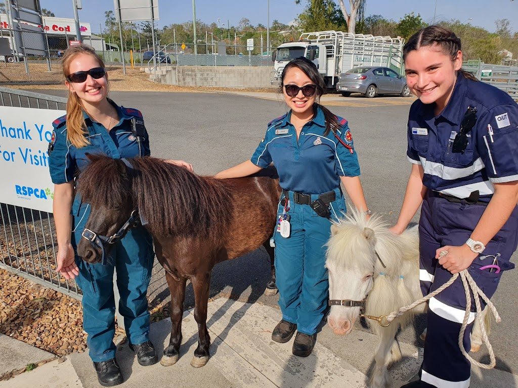 RSPCA Ipswich | 6 Hooper St, West Ipswich QLD 4305, Australia | Phone: (07) 3258 5680