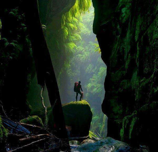 Claustral Canyon |  | Bells Line of Rd, Mount Tomah NSW 2758, Australia | 0247878877 OR +61 2 4787 8877
