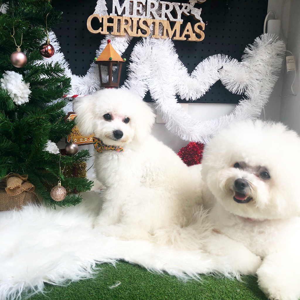 Michelles Dog Grooming | 363 Cabbage Tree Rd, Williamtown NSW 2318, Australia | Phone: 0403 262 099