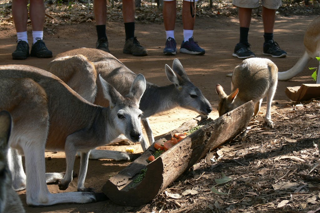 Territory Wildlife Park | zoo | Cox Peninsula Rd, Berry Springs Darwin NT 0838, Australia | 0889887200 OR +61 8 8988 7200