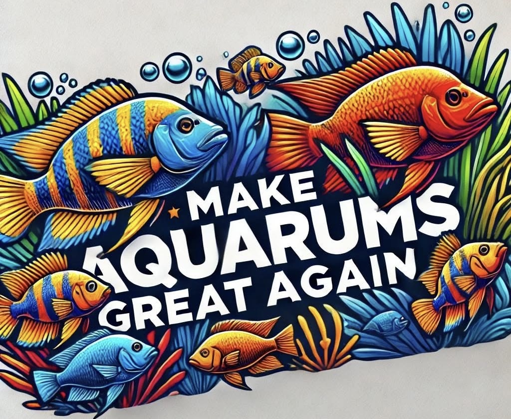 Coffs Coast Aquarium Maintenance | 51a Old Bucca Rd, Moonee Beach NSW 2450, Australia | Phone: 0435 533 387