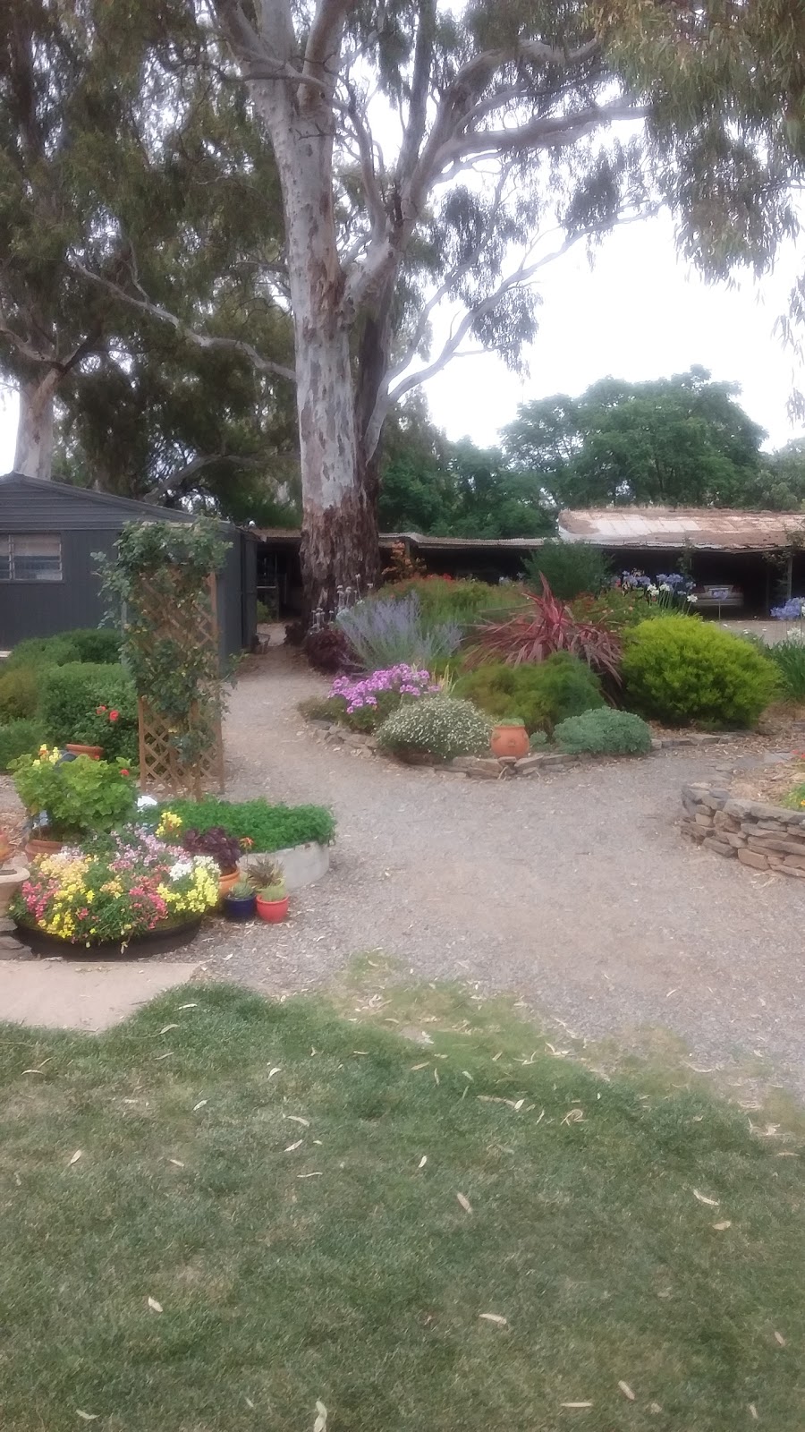 The Olde Lolly Shop B and B | lodging | Lot 351 Hill St, Mintaro SA 5415, Australia | 0888439229 OR +61 8 8843 9229