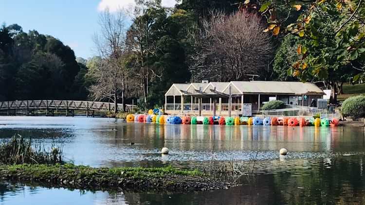 Lakeside Paddleboats Pty Ltd | Emerald Lake Park, Emerald VIC 3782, Australia | Phone: 0412 951 280