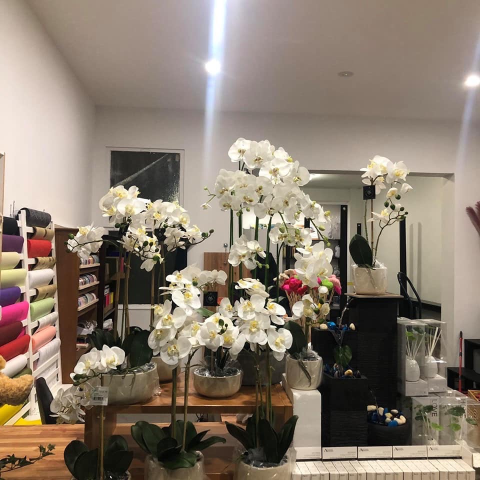 Flora Plant On Chapel | florist | 362 Chapel St, South Yarra VIC 3141, Australia | 0398270019 OR +61 3 9827 0019