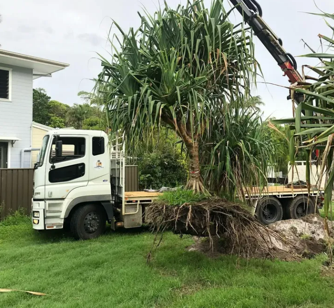 Limited Access Excavation | 252 Broken Head Rd, Byron Bay NSW 2481, Australia | Phone: 0431 033 791