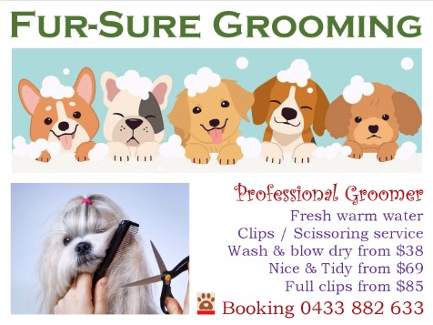Fur Sure Grooming | 42A Selems Parade, Revesby NSW 2212, Australia | Phone: 0433 882 633