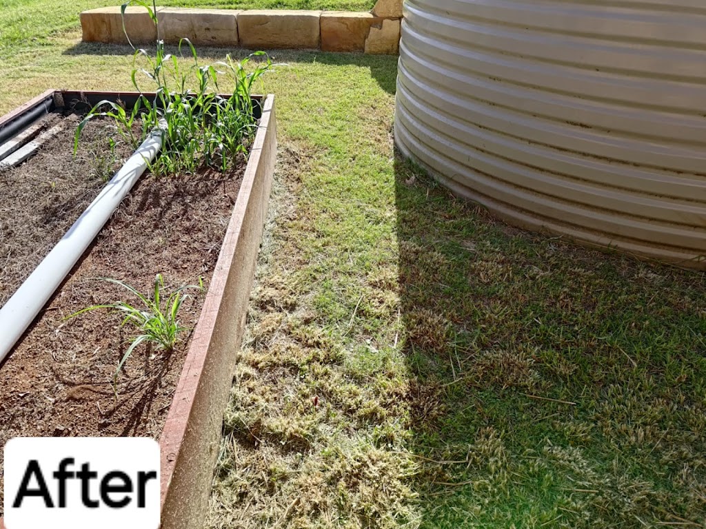 Nectriis Lawn & Garden Maintenance | Yandilla St, Pittsworth QLD 4356, Australia | Phone: 0499 772 161 Nectriis Lawn & Garden Maintenance | Yandilla St, Pittsworth QLD 4356, Australia | Phone: 0499 772 161