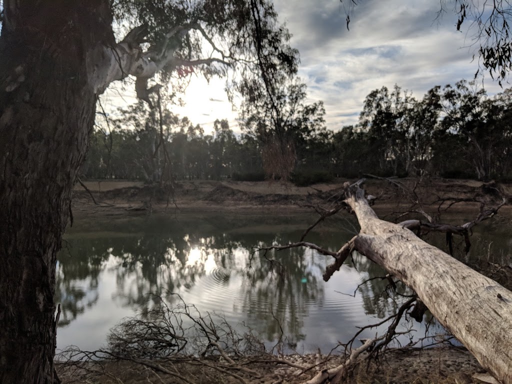 Perricoota | park | New South Wales, Australia