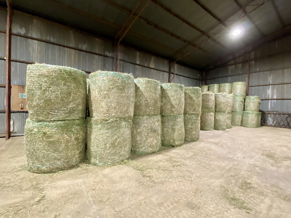 Old Mill Organic Farm | 186 Ingoldsby Rd, Upper Tenthill QLD 4343, Australia | Phone: 0419 798 060