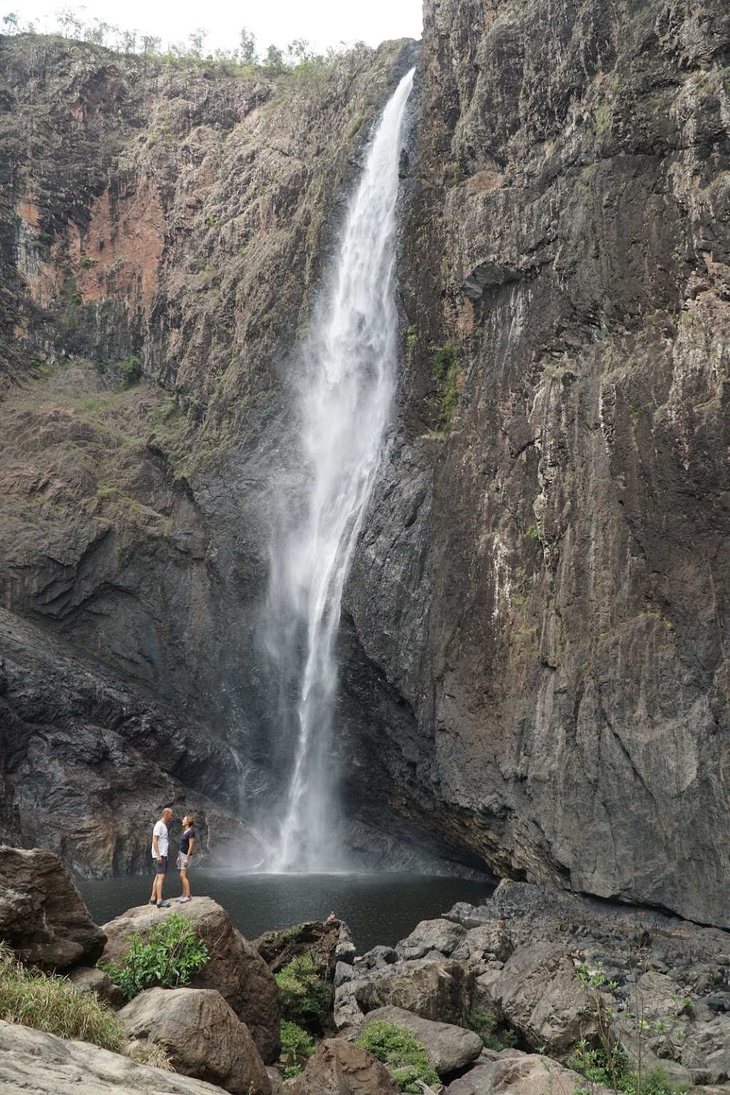 Girringun National Park | Lumholtz QLD 4849, Australia | Phone: 13 74 68