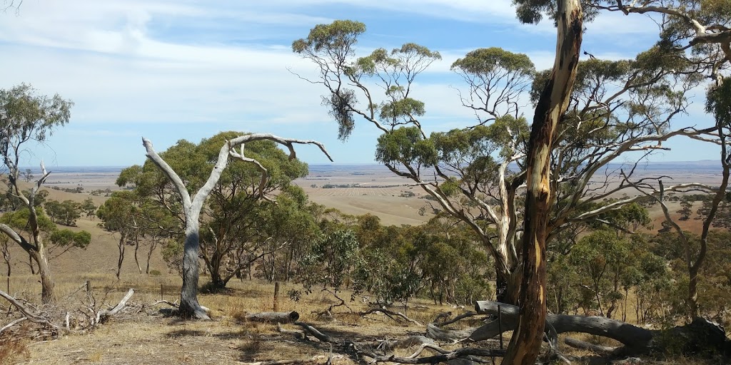 Spring Gully Conservation Park | Sawmill Rd, Sevenhill SA 5453, Australia