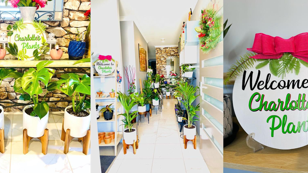 Charlotte’s Plants | store | 38 Indigo Bnd, Wellard WA 6170, Australia | 0413888396 OR +61 413 888 396