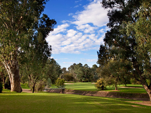 Commercial Golf Resort Albury | school | 530 North St, Albury NSW 2640, Australia | 0260572800 OR +61 2 6057 2800