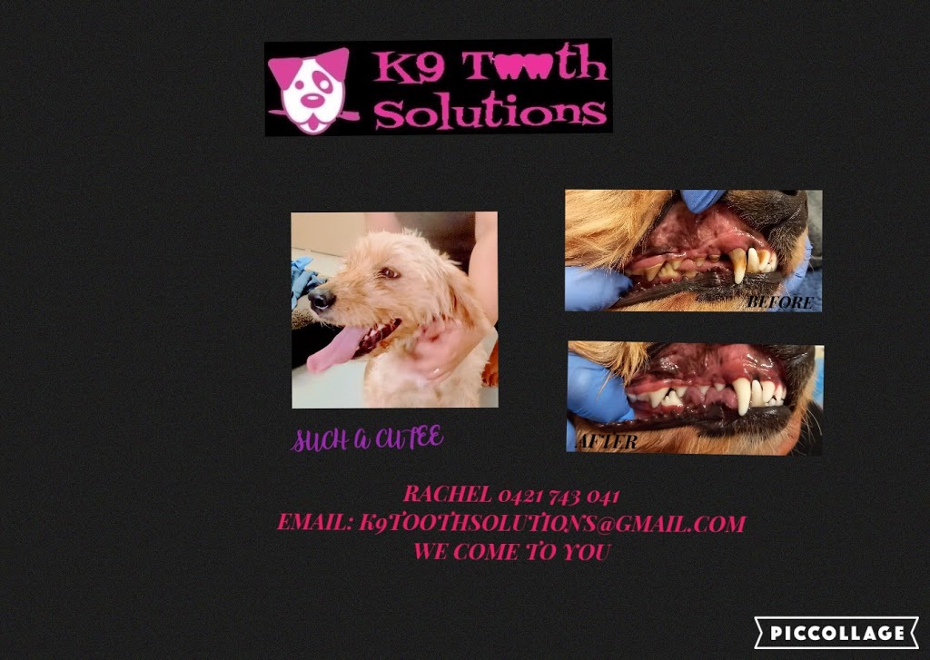 K9 Tooth Solutions | 35 Alison Dr, Lara VIC 3212, Australia | Phone: 0421 743 041