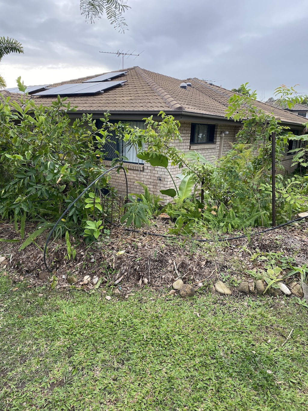 Vista Lawn Care | 114A Belhaven Ave, Yarrabilba QLD 4207, Australia | Phone: 1300 084 782