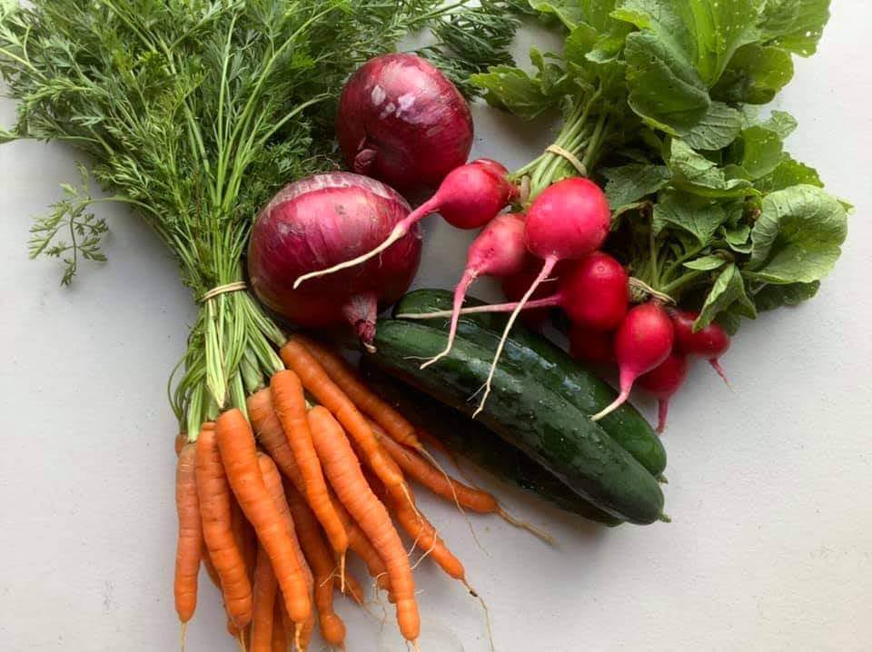 Ellias Garden | Farm Visits & Pick Your Own Produce | 1819 Tarome Rd, Moorang QLD 4340, Australia | Phone: 0491 100 661