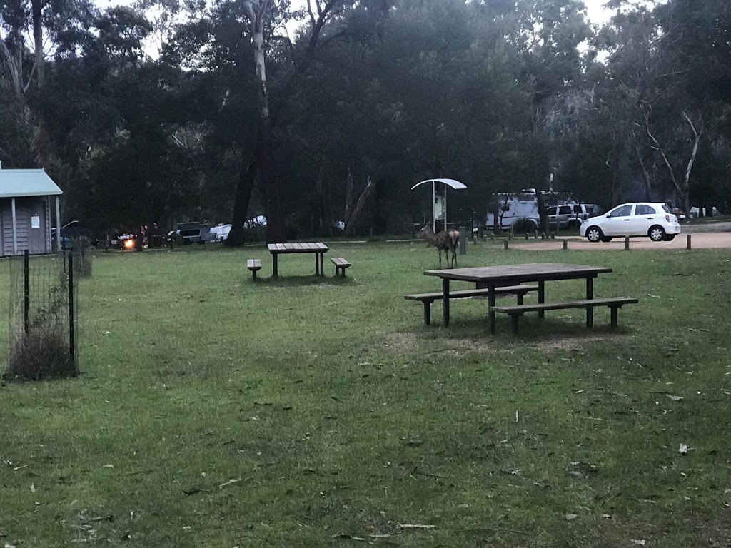 Borough Huts Campground | campground | Grampians Rd, Bellfield VIC 3381, Australia | 131963 OR +61 131963