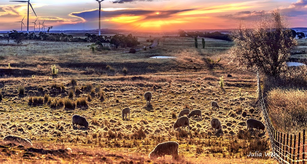 Taralga Wind Farm |  | Old Showground Rd, Taralga NSW 2580, Australia | 1800730734 OR +61 1800 730 734