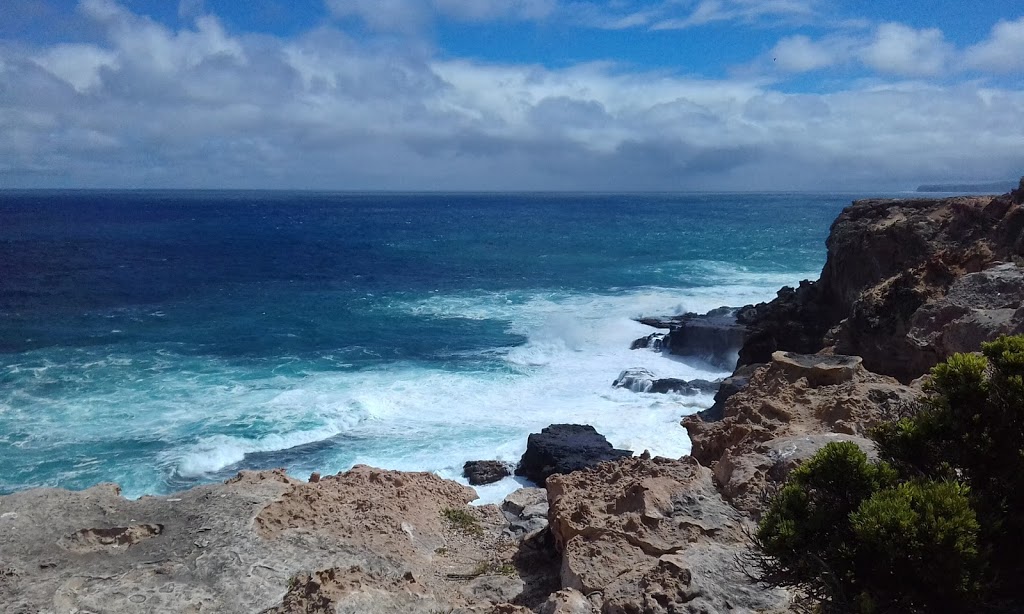 Cape Nelson State Park | Cape Nelson, Cape Nelson Rd, Portland West VIC 3305, Australia | Phone: 13 19 63