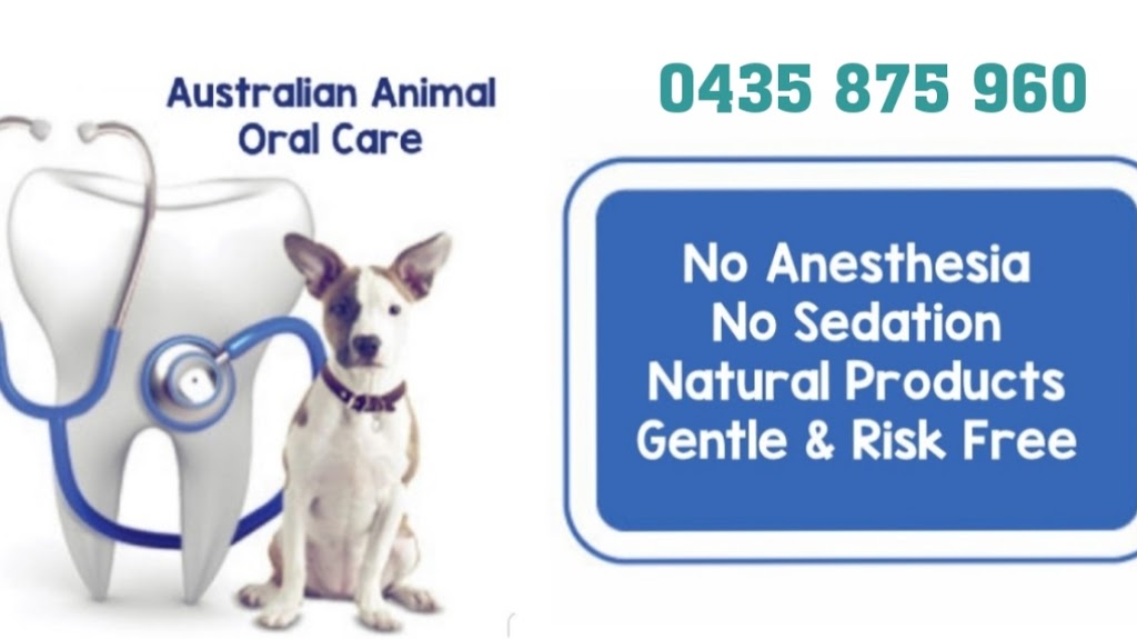 Australian Animal Oral Care | dentist | 2-8 Springlands Dr, C/0 Pooch Avenue, Slacks Creek QLD 4127, Australia | 0435875960 OR +61 435 875 960