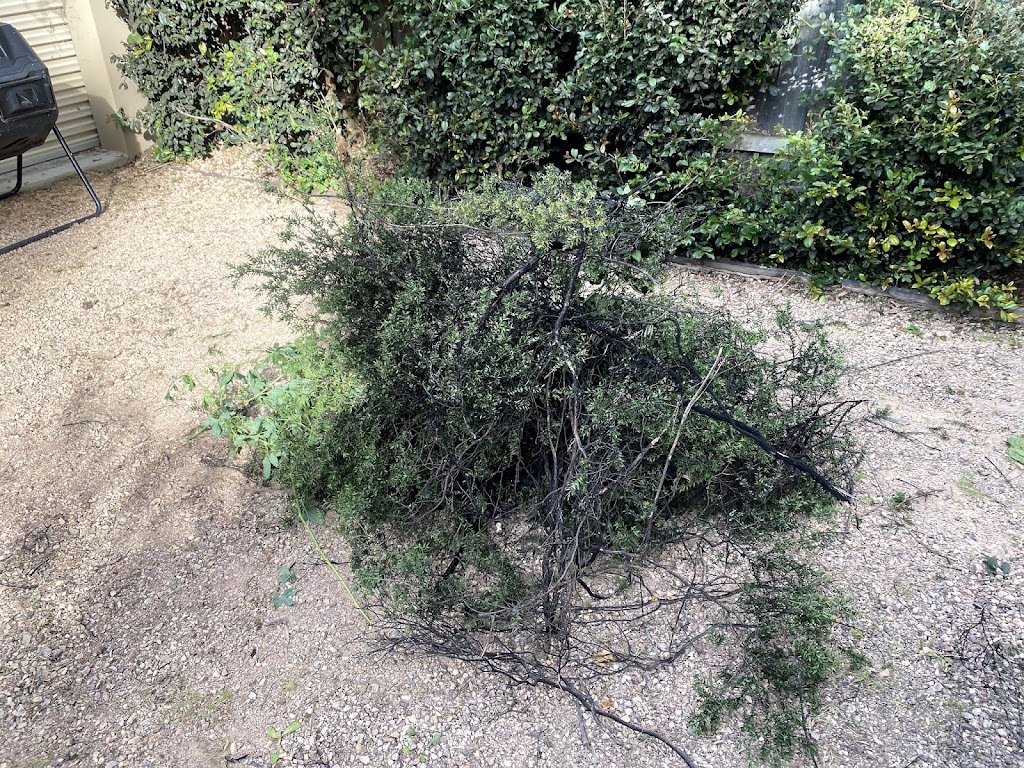 Craig Js Gardening | 4 Eskholme Rise, Greensborough VIC 3088, Australia | Phone: 0414 386 811