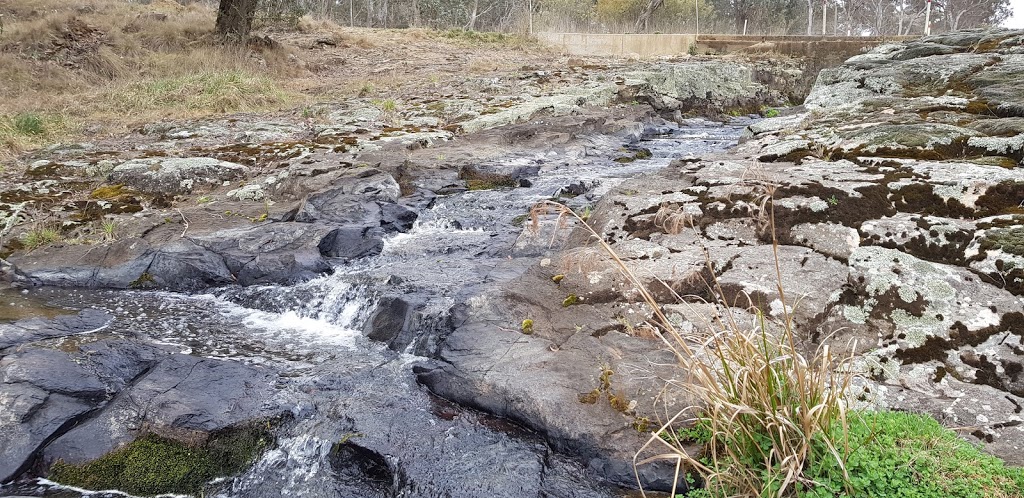 Dutton Trout Hatchery | Point Lookout Rd, Ebor NSW 2453, Australia | Phone: (02) 6775 9139