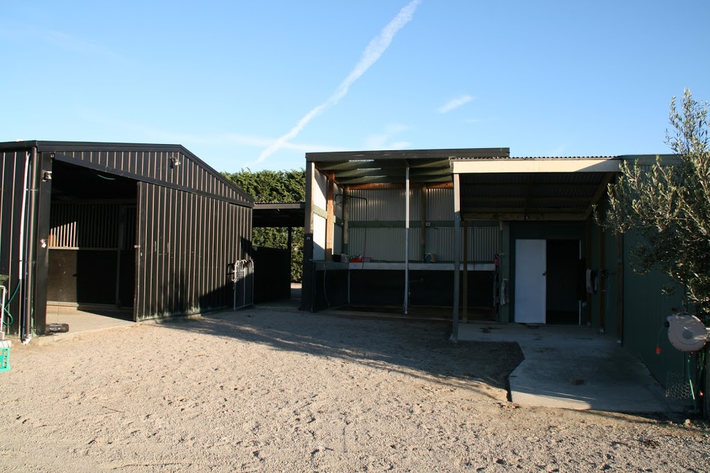 Peninsula Park Equestrian Centre |  | Peninsula Park Equestrian Centre, Eramosa Road West, Moorooduc VIC 3933, Australia | 0426161725 OR +61 426 161 725