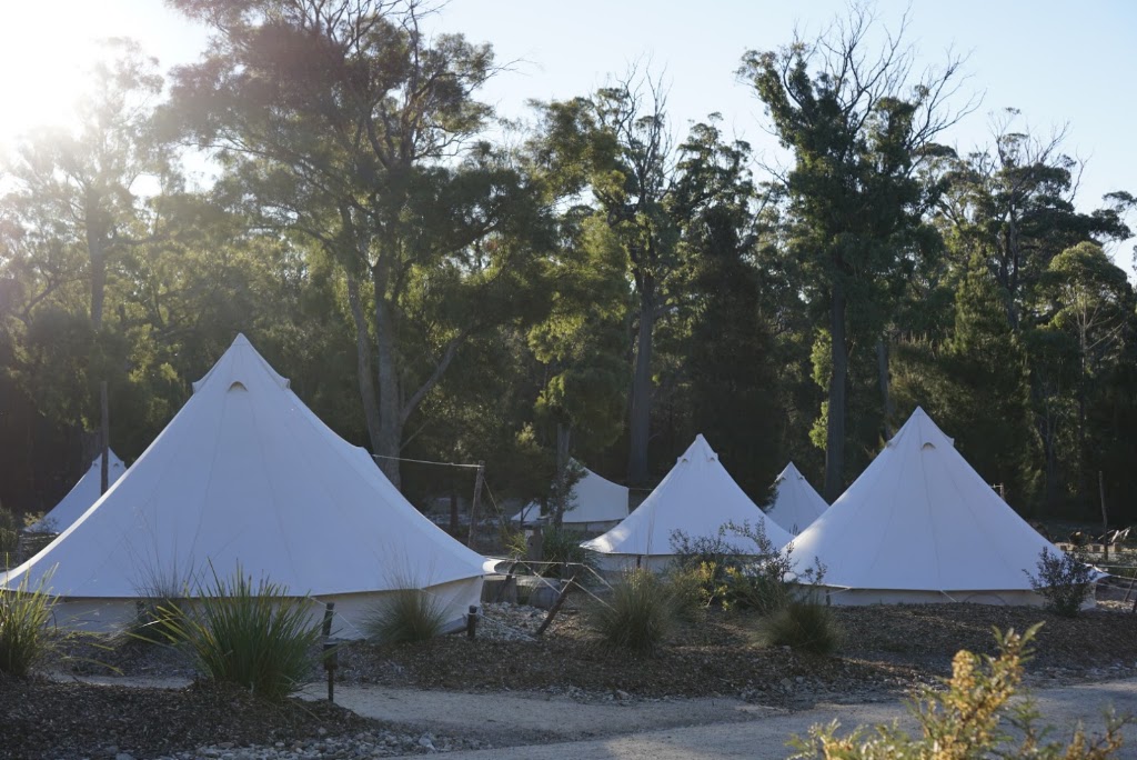 Tasmanian Gravel Tours | Derby Back Rd, Winnaleah TAS 7265, Australia | Phone: 0418 466 033