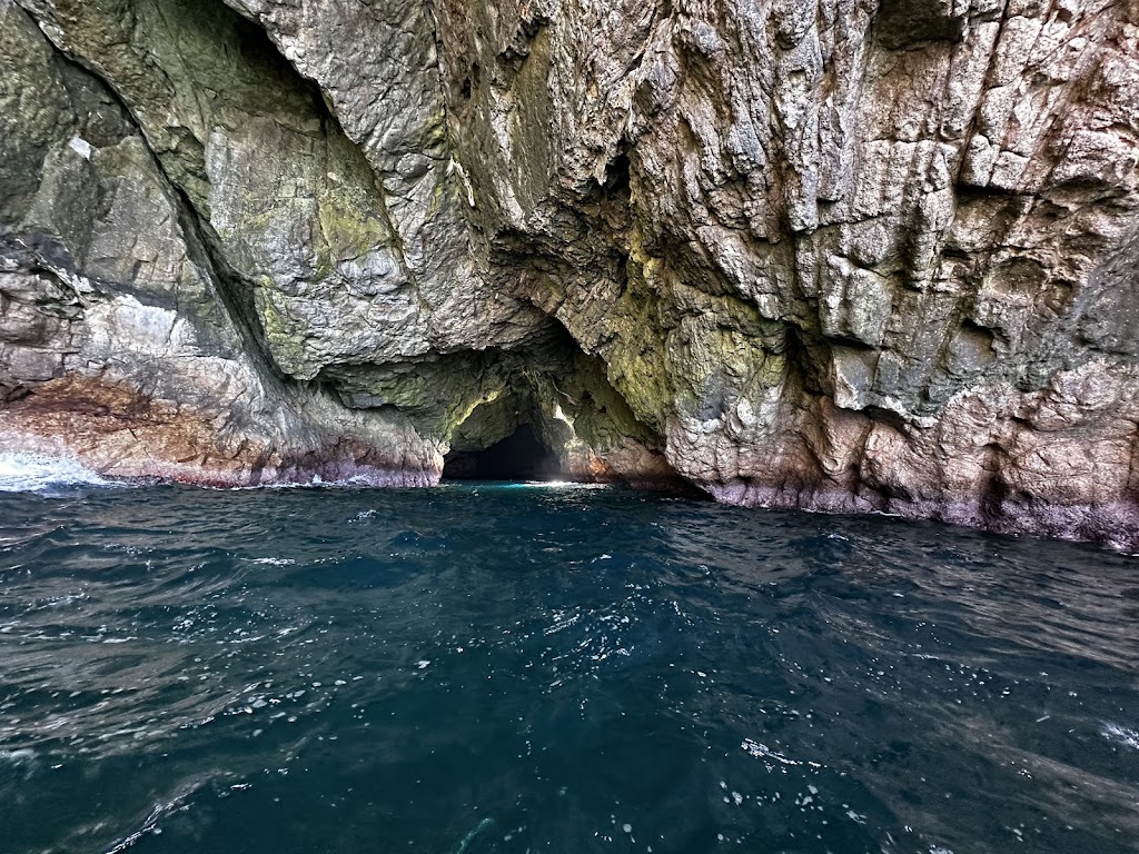 MARIA ISLAND CRUISES | 21 Vicary St, Triabunna TAS 7190, Australia | Phone: (03) 6257 1300