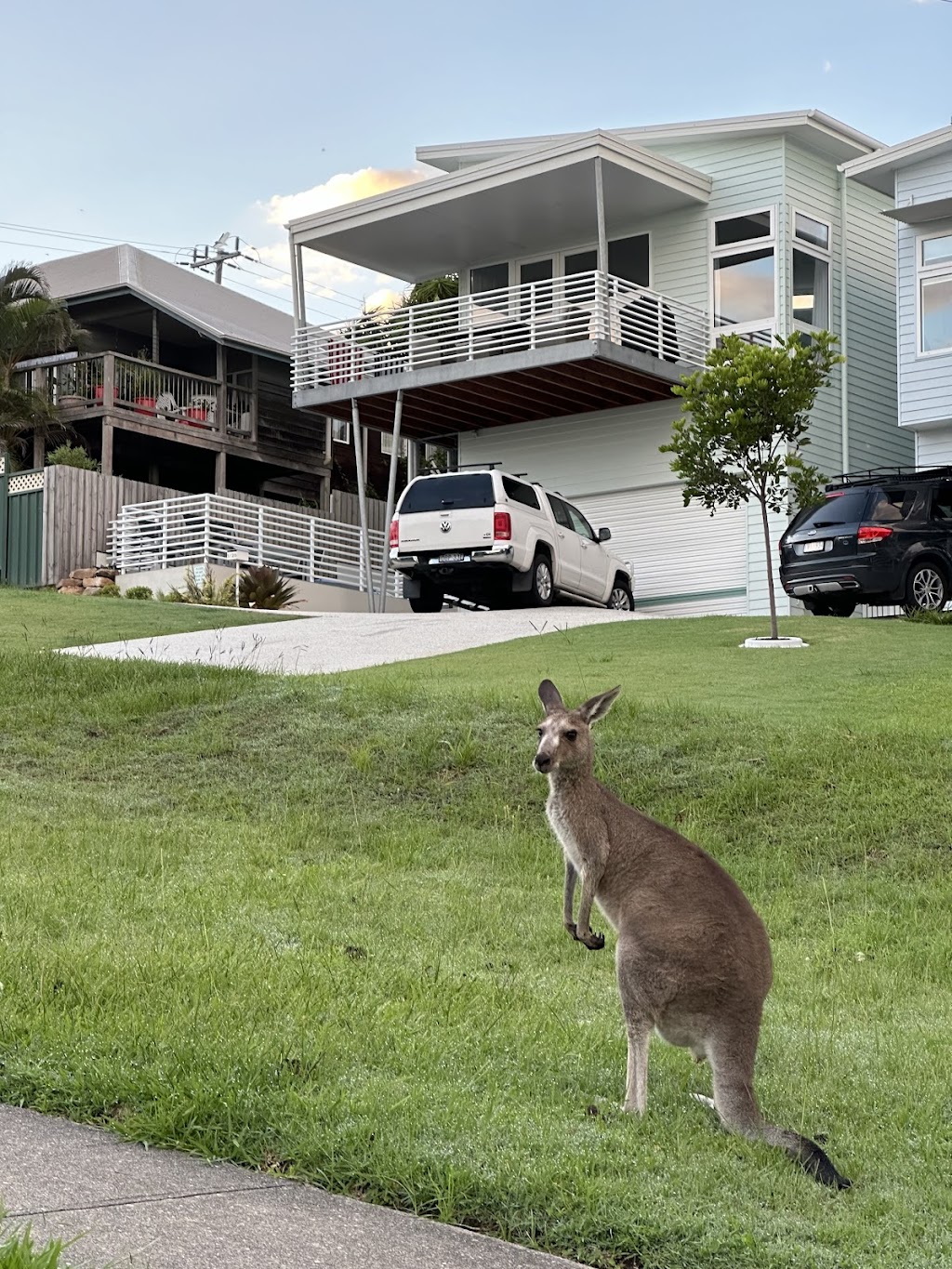 Tea Trees Woolgoolga | Unit 1/28 Ocean St, Woolgoolga NSW 2456, Australia | Phone: (02) 5606 3767