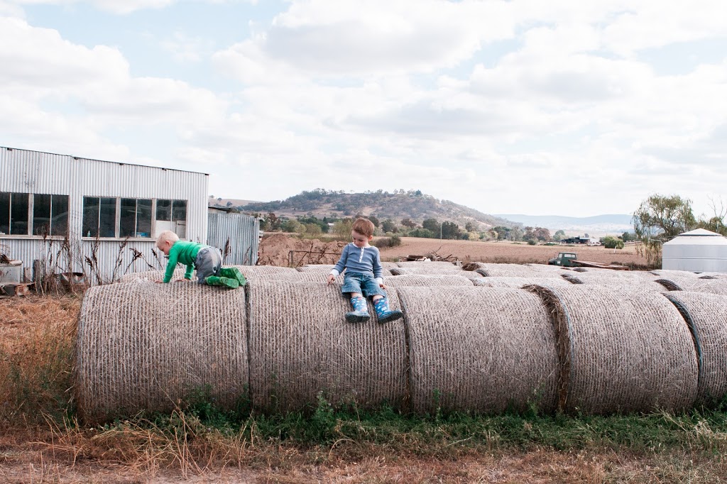 Jennifer Stocks Photographer | Lachlan Valley Way, Forbes NSW 2871, Australia | Phone: 0400 858 071