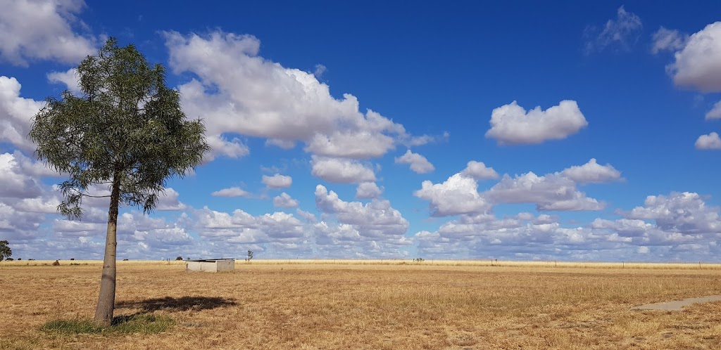 Roma Gun Club - Roma Clay Target Club Inc. |  | 155 Geoghegan Rd, Roma QLD 4455, Australia | 0476674514 OR +61 476 674 514