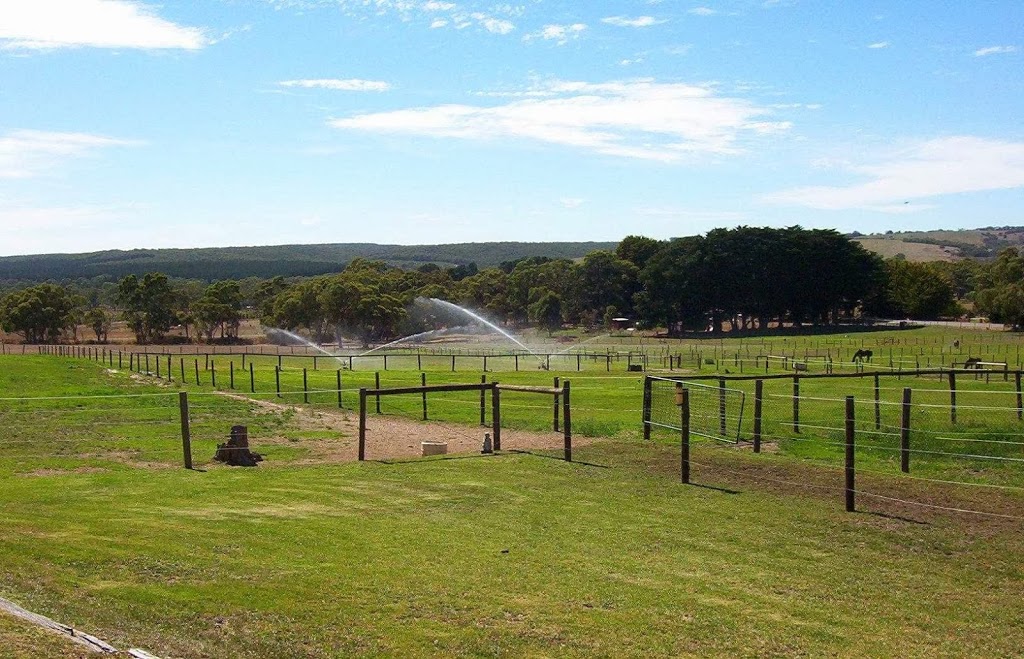 Glenferrie Stud | 1334 Brookman Rd, Dingabledinga SA 5172, Australia | Phone: (08) 8556 7284