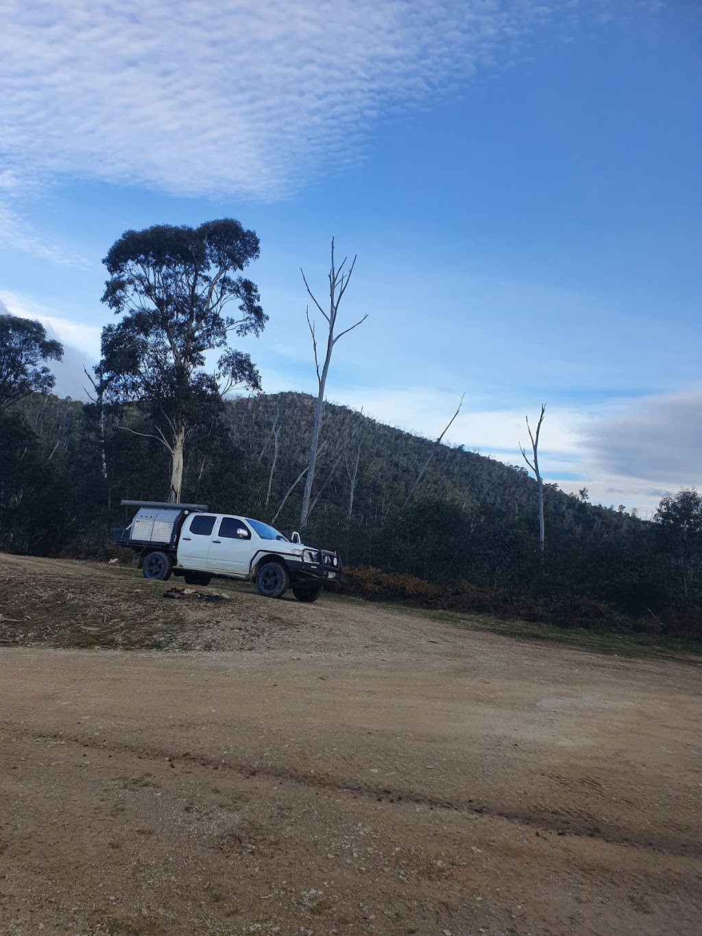 Goghill Creek Camp | campground | Australian Alps Walking Track, Selwyn VIC 3737, Australia