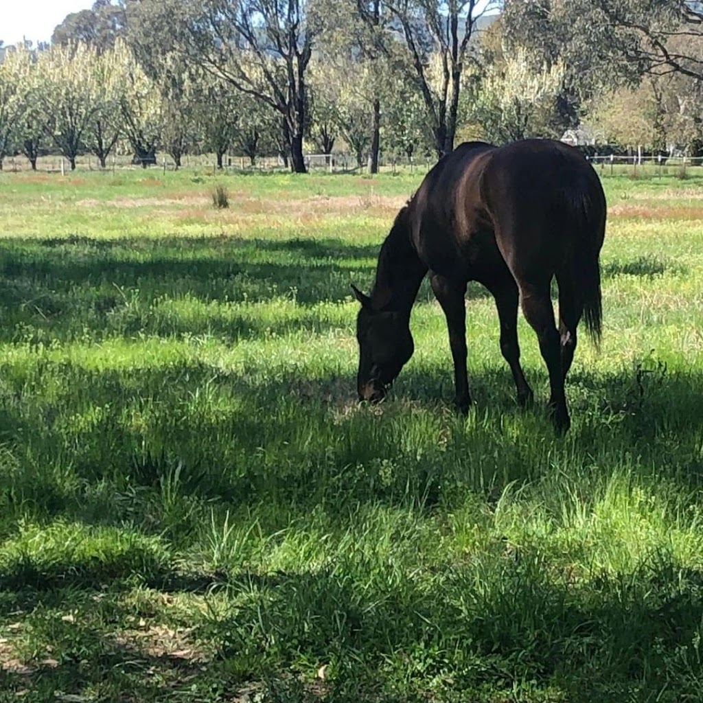 Gullifer Farm | 11 Gullifer Ln, Bonegilla VIC 3691, Australia | Phone: 0418 236 926