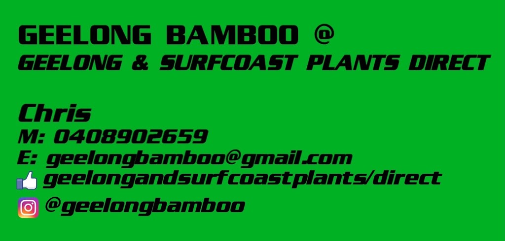Geelong and Surfcoast Plants Direct, Geelong Bamboo. | store | 41 The Esplanade, Torquay VIC 3228, Australia | 0408902659 OR +61 408 902 659