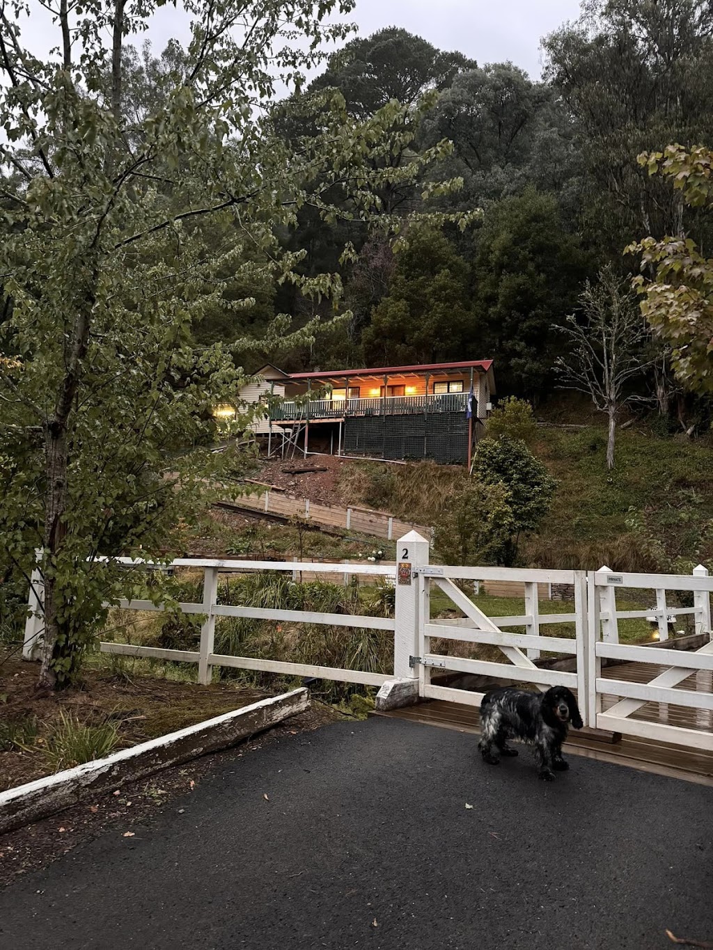 Lee Manor | 2 Right Hand Branch Rd, Walhalla VIC 3825, Australia | Phone: 0484 742 646